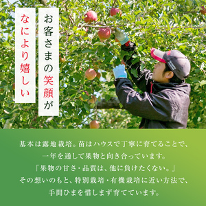 ＜先行予約＞福島県産 家庭用 りんご サンふじ 5kg （12玉～20玉） リンゴ フルーツ 果物 F6Q-291