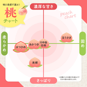 ＜先行予約＞福島県オリジナル品種 桃 はつひめ2kg （7玉～10玉） もも フルーツ 果物 F6Q-349