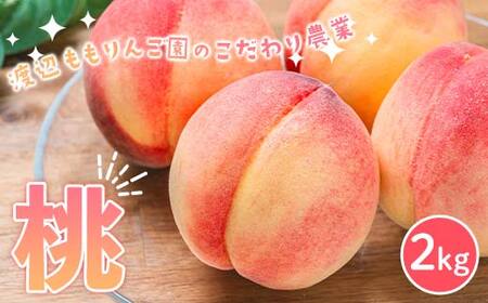渡辺ももりんご園のこだわり農業 桃 2kg もも モモ 桃 デザート フルーツ 果物 くだもの 果実 食品 F6Q-347