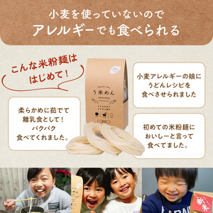 たっぷり入った グルテンフリー 米粉で作った麺「う米めん」100食入り F21T-244