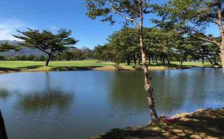 シーズン中いつでも使えるプレー券（2プレー、1泊2食付き）太平洋クラブ白河リゾート ゴルフ ゴルフ場 体験 スポーツ ゴルフ好き 福島県 天栄村 F21T-273