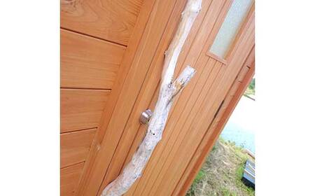 国産杉使用　木のぬくもり サウナハウス（4名用） F21T-325