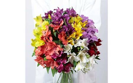 「花の福袋」“贅沢な日常花” アルストロメリア 切り花 60cm 30本 花束 フラワー ご褒美 お祝い ギフト 誕生日 感謝 母の日 父の日 プレゼント 福島県 天栄村 F21T-399
