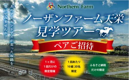 月1回限定開催 ノーザンファーム天栄見学ツアー ペア招待 （2026年4月分） ※記念品無しプラン 期間限定 東北 福島県 天栄村 競馬 ノーザン 応援 思い出 記念 F21T-391