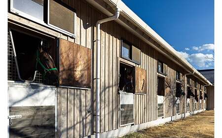 月1回限定開催 ノーザンファーム天栄見学ツアー ペア招待 (2026年6月分) ※記念品無しプラン 期間限定 東北 福島県 天栄村 競馬 ノーザン 応援 思い出 記念 F21T-393