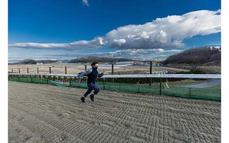 月1回限定開催 ノーザンファーム天栄見学ツアー ペア招待 (2026年6月分) ※記念品無しプラン 期間限定 東北 福島県 天栄村 競馬 ノーザン 応援 思い出 記念 F21T-393