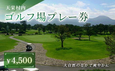 天栄村内ゴルフ場プレー券（4,500円分） F21T-033