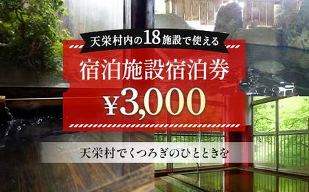天栄村内宿泊施設宿泊券 3,000円分 温泉 旅行 福島県 天栄村 ふるさと納税 F21T-036