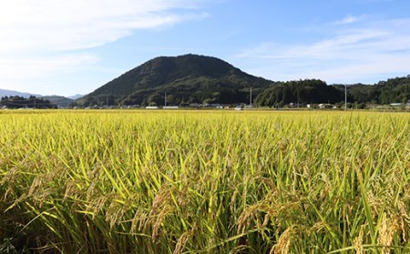 <先行予約>令和7年産米 ゴールドプレミアムライス天栄米 2kg F21T-427