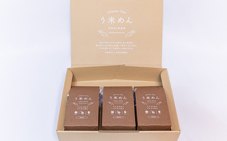 天栄村産コシヒカリ玄米 う米めん 9食セット 無添加 グルテンフリー F21T-074