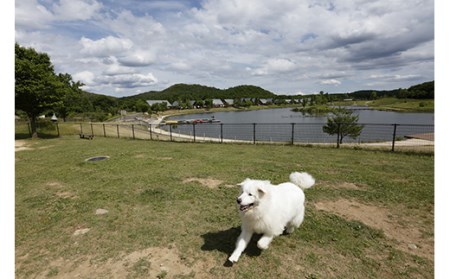 エンゼルフォレスト白河高原で使える宿泊クーポン券（300000円相当） F21T-103