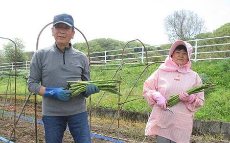 【先行予約】 ≪天栄村産≫ 春芽アスパラM～Lサイズ 1.7kg F21T-439