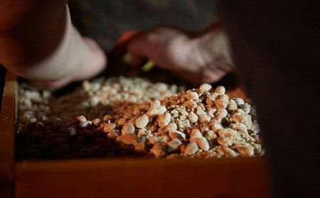 平右衛門醤油再仕込×2本セット F21T-443