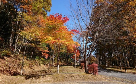 羽鳥湖畔オートキャンプ場で使えるクーポン券（9,000円相当） F21T-169