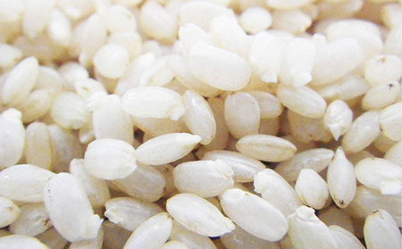 発芽玄米１kg×2個、発芽玄米150g（1合）×2個