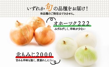 北海道 新しのつ産 玉ねぎ Lサイズ 約20kg オホーツク222 北もみじ2000 玉葱 たまねぎ タマネギ オニオン 旬 農作物 野菜 サラダ カレー 肉じゃが 長期保存 送料無料