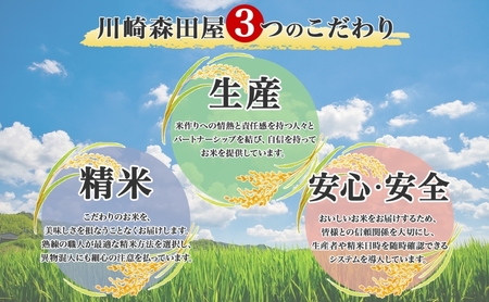 定期便 6ヵ月 北海道 特別栽培 令和6年産 ななつぼし 10kg 精米 米 白米 お米 新米 ごはん ご飯 ライス 道産米 ブランド米 新しのつ米 ふっくら 食味ランキング  産地直送 カワサキ森田屋 送料無料 新篠津 