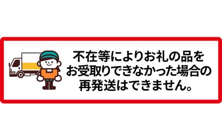 北海道 新しのつ産 手塚さんちのたまねぎ 約5kg