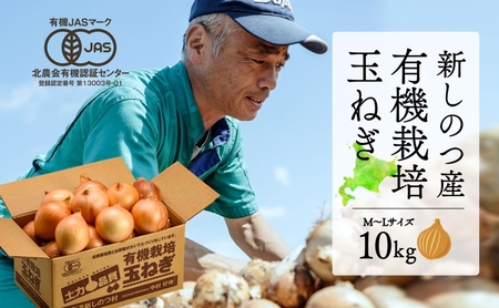 新しのつ産 有機栽培玉ねぎ 約10kg