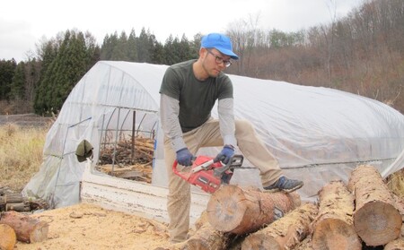 つちっこ田島ファーム 一年熟成 あやこがね味噌 1kg入り×5袋（合計5kg） みそ 赤味噌 