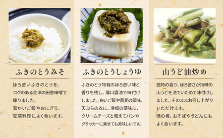 【会津物産】ご飯のお供セット 野菜 山菜 惣菜 