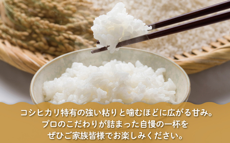 【令和7年産】【福島会津産】雪の恵み米こしひかり5kg×1回 KBAJ005