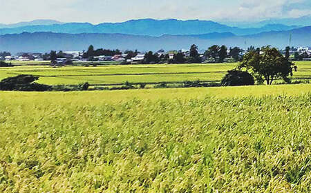 会津発 季節の野菜だより（大）2名様1週間分相当【喜多方市・西会津町・北塩原村のお野菜】 KBW002