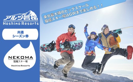星野リゾート アルツ磐梯・猫魔スキー場「共通リフトシーズン券」引換券【2022-2023シーズン】