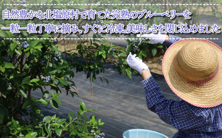 冷凍ブルーベリー2kg(石井ブルーベリー園) KBI002