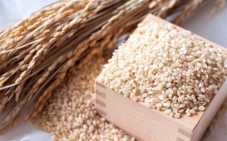 令和7年産米 西会津産米 至福米コシヒカリ 玄米 3kg F4D-1911