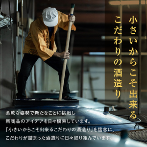 【先行予約】【栄川酒造】日本酒飲み比べセット(300ml×5本) F4D-0085