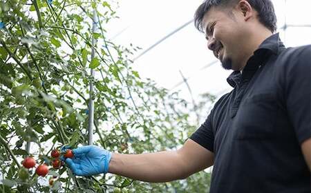 西会津ミネラル野菜セット定期便（小）5回 F4D-1405