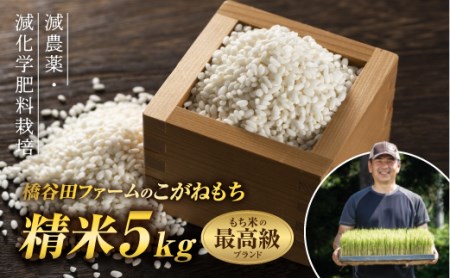 令和2年産 減農薬・減化学肥料栽培 もち米 こがねもち 5kg 精米