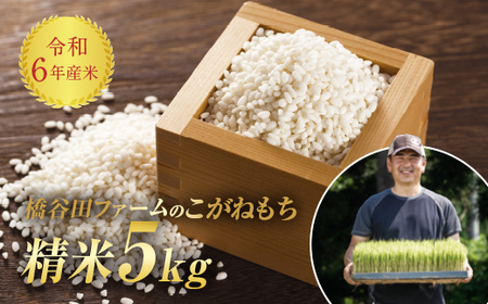令和6年産米 減農薬・減化学肥料栽培 もち米 こがねもち 5kg 精米 米 お米 おこめ ご飯 ごはん おもち 福島県 西会津町 F4D-0290