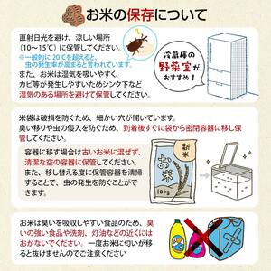 ＜定期便12ヶ月＞ 西会津産米コシヒカリ 精米 9kg（4.5kg×2袋） 米 お米 おこめ ご飯 ごはん 福島県 西会津町 F4D-1986