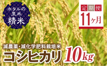 <定期便11ヶ月>【ホタルの里米】環境に配慮し農薬を減らした栽培米 コシヒカリ精米10kg