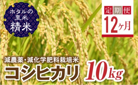 <定期便12ヶ月>【ホタルの里米】環境に配慮し農薬を減らした栽培米 コシヒカリ精米10kg