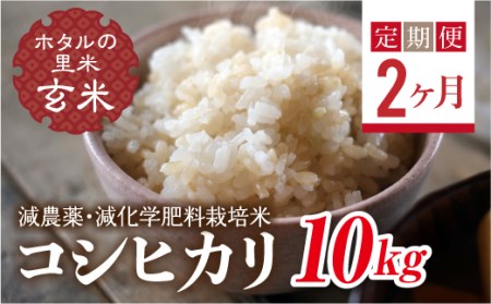 <定期便2ヶ月>【ホタルの里米】環境に配慮し農薬を減らした栽培米 コシヒカリ玄米10kg