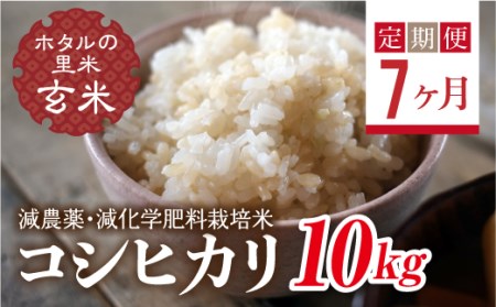 <定期便7ヶ月>【ホタルの里米】環境に配慮し農薬を減らした栽培米 コシヒカリ玄米10kg