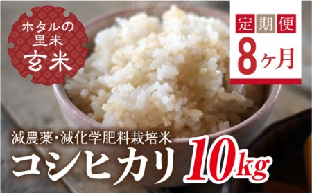<定期便8ヶ月>【ホタルの里米】環境に配慮し農薬を減らした栽培米 コシヒカリ玄米10kg