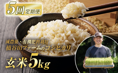 《定期便5ヶ月》 減農薬・有機肥料栽培 西会津産米コシヒカリ 玄米 5kg 米 お米 おこめ ご飯 ごはん 福島県 西会津町 F4D-2199
