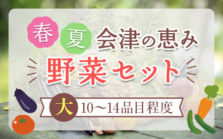 春夏の会津発季節の野菜だより(大)＜10～14品目程度＞ 朝採れ 野菜 セット 詰合せ 契約農家 朝採り 採れたて 新鮮 会津野菜 食品 F4D-1408