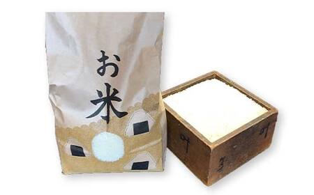 秋冬の会津発季節の野菜だより(大)＜お米2kg、野菜4～7品目程度＞ 朝採れ 野菜 お米 米 セット 詰合せ 契約農家 朝採り 採れたて 新鮮 会津野菜 食品 F4D-1410