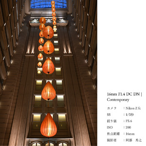 SIGMA APS-Cサイズ用 単焦点レンズ3本セット【マイクロフォーサーズ】