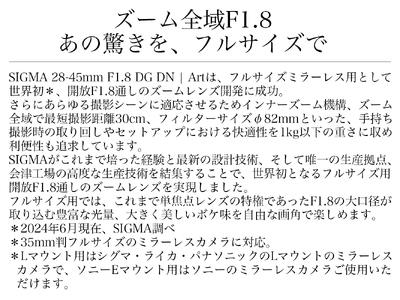 SIGMA 28-45mm F1.8 DG DN | Art【ソニーEマウント】