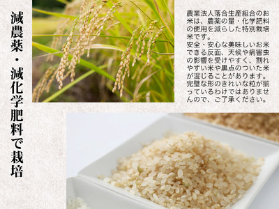 Aランク"会津コシヒカリ特別栽培米「磐梯渓谷」 （減農薬栽培）令和７年産玄米20kg新米