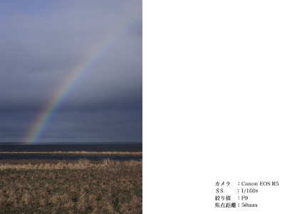 SIGMA 18-50mm F2.8 DC DN | Contemporary【キヤノンRFマウント】