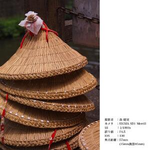 SIGMA 24-105mm F4 DG OS HSM | Art 【ニコンFマウント】（数量限定）