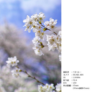 SIGMA 30mm F1.4 DC HSM | Art 【ニコンFマウント】（数量限定）