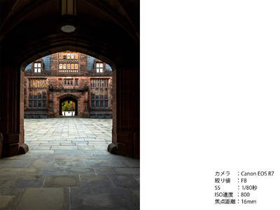 SIGMA 16mm F1.4 DC DN | Contemporary【キヤノンRFマウント】